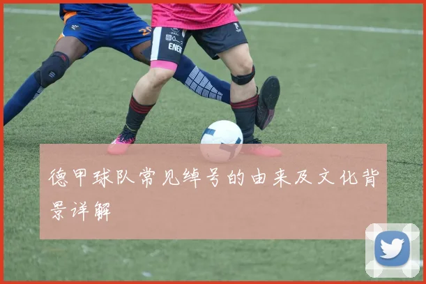 德甲球队常见绰号的由来及文化背景详解