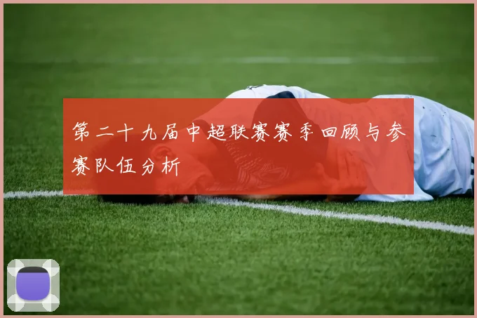 第二十九届中超联赛赛季回顾与参赛队伍分析